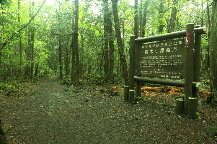 Tempat Paling Angker di Dunia yang Berani Dikunjungi